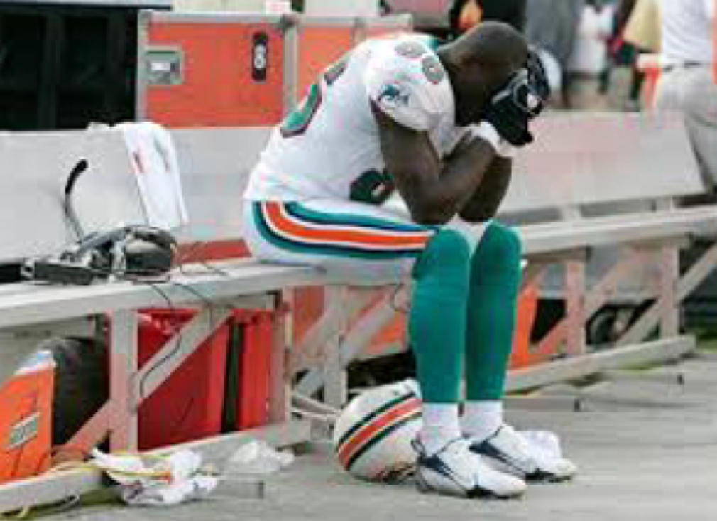 2007 Miami Dolphins