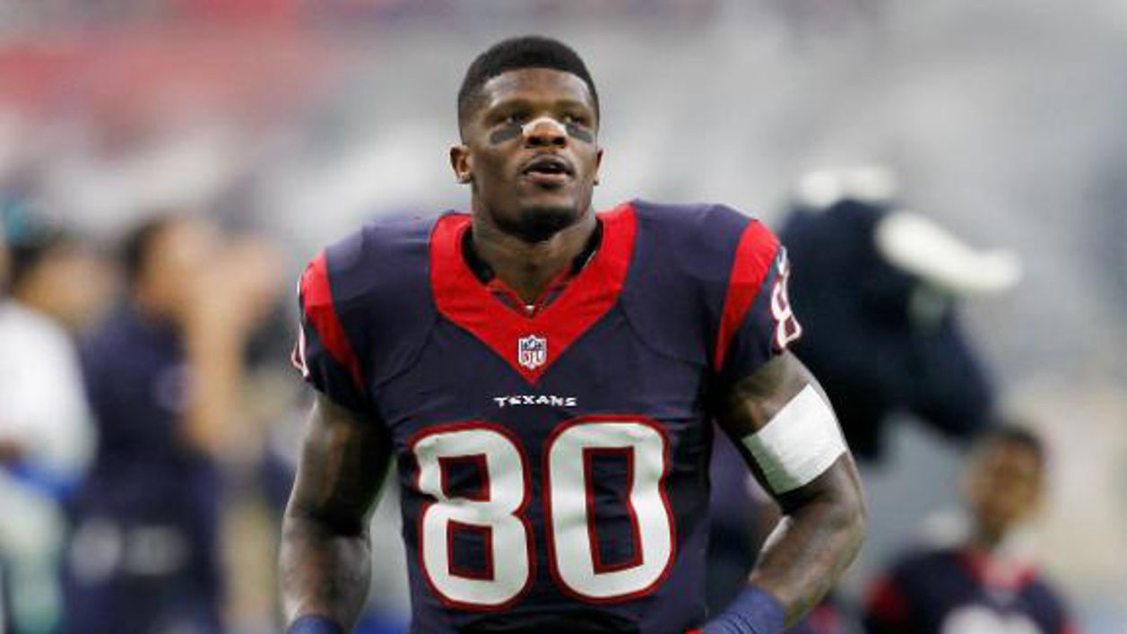 Andre Johnson