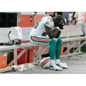 2007 Miami Dolphins