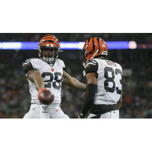 2019 Cincinnati Bengals